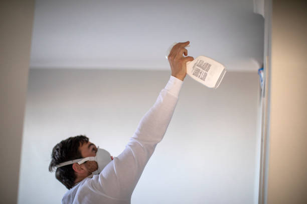Best Emergency Mold Remediation in Delano, MN