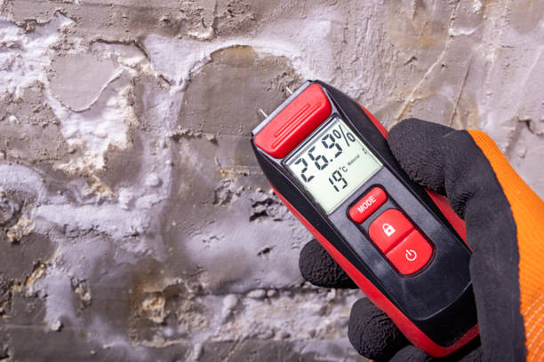 Best Industrial Mold Remediation in Delano, MN