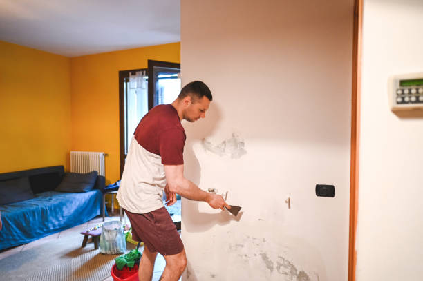 Best Bathroom Mold Remediation in Delano, MN